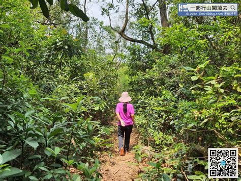 圓墩山|【一起行山闖蕩去】 圓墩郊遊徑